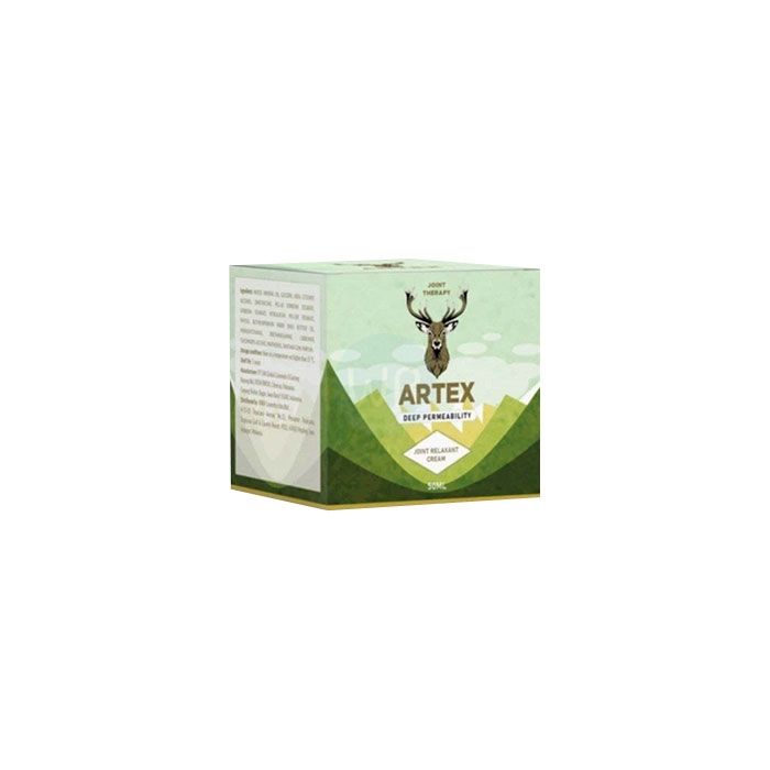 ⟦ Artex ⟧ - joint health remedy