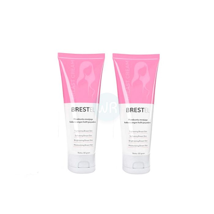 ⟦ Brestel ⟧ - breast enlargement product