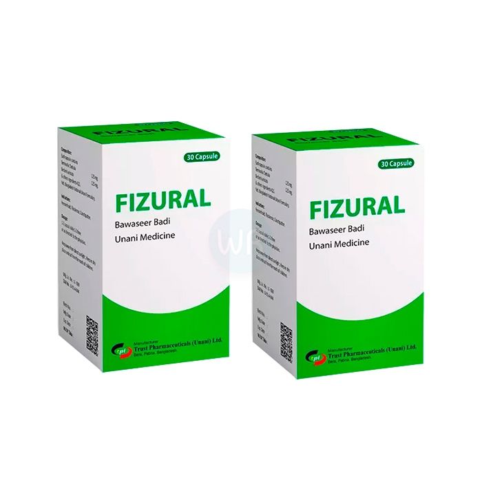 ⟦ Fizural ⟧ - capsules for hemorrhoids