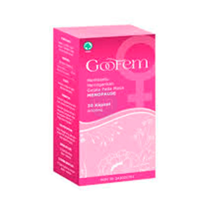 ⟦ Goofem ⟧ - product for the health of the genitourinary system