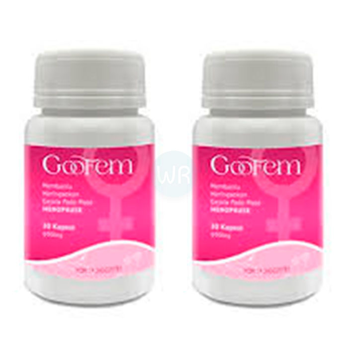 ⟦ Goofem ⟧ - product for the health of the genitourinary system