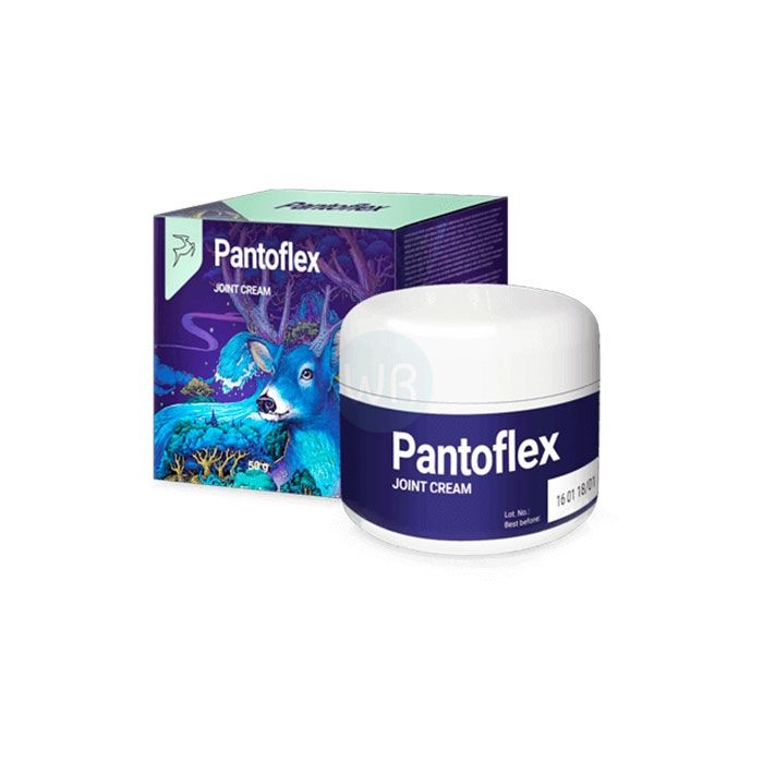 ⟦ Pantoflex ⟧ - जोड़ों के लिए क्रीम